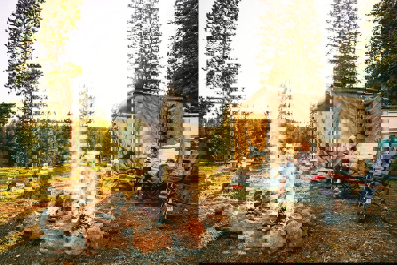 McLouis Nevis 879 G - billede 2